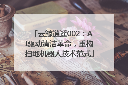 云鲸逍遥002：AI驱动清洁革命，重构扫地机器人技术范式