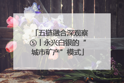 五链融合深观察⑤丨永兴白银的“城市矿产”模式
