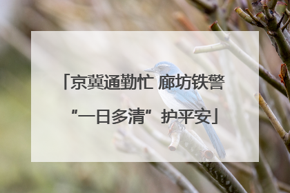 京冀通勤忙 廊坊铁警“一日多清”护平安