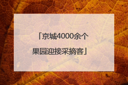京城4000余个果园迎接采摘客
