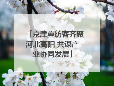 京津冀纺客齐聚河北高阳 共谋产业协同发展