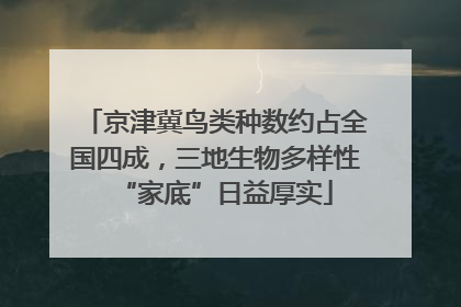 京津冀鸟类种数约占全国四成，三地生物多样性“家底”日益厚实