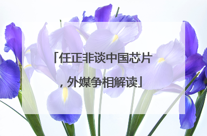 任正非谈中国芯片，外媒争相解读
