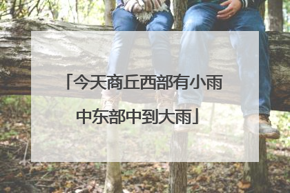今天商丘西部有小雨 中东部中到大雨