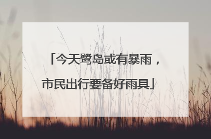 今天鹭岛或有暴雨，市民出行要备好雨具
