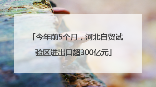 今年前5个月，河北自贸试验区进出口超300亿元