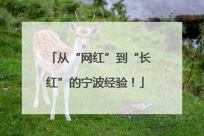 从“网红”到“长红”的宁波经验！