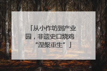 从小作坊到产业园，非遗史口烧鸡“涅槃重生”