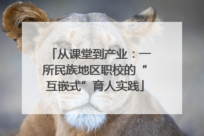 从课堂到产业：一所民族地区职校的“互嵌式”育人实践
