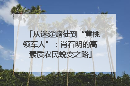 从迷途赌徒到“黄桃领军人”：肖石明的高素质农民蜕变之路