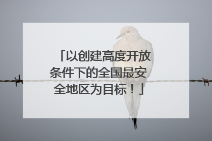 以创建高度开放条件下的全国最安全地区为目标！