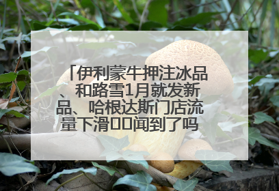 伊利蒙牛押注冰品、和路雪1月就发新品、哈根达斯门店流量下滑⋯⋯闻到了吗？今年夏天冰淇淋市场的火药味