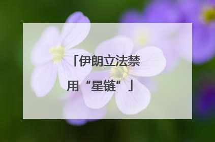 伊朗立法禁用“星链”