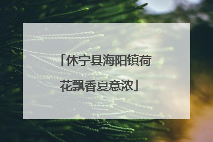 休宁县海阳镇荷花飘香夏意浓