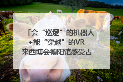 会“巡逻”的机器人+能“穿越”的VR 来西博会德阳馆感受古蜀文明与现代智造的时空对话｜西博视界