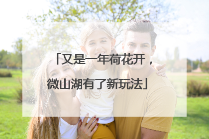 又是一年荷花开，微山湖有了新玩法
