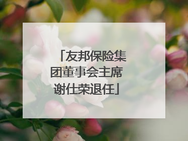 友邦保险集团董事会主席谢仕荣退任