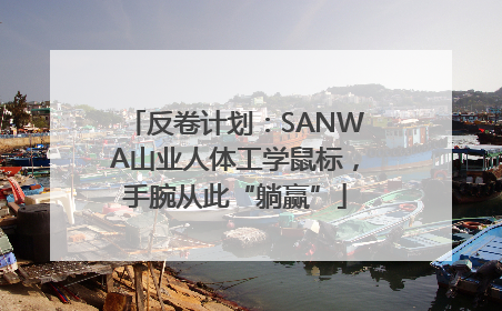 反卷计划：SANWA山业人体工学鼠标，手腕从此“躺赢”