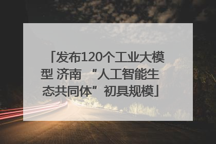 发布120个工业大模型 济南 “人工智能生态共同体”初具规模