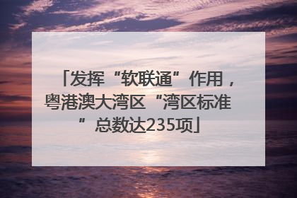 发挥“软联通”作用，粤港澳大湾区“湾区标准”总数达235项