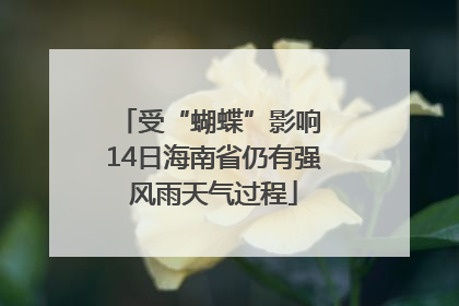 受“蝴蝶”影响 14日海南省仍有强风雨天气过程