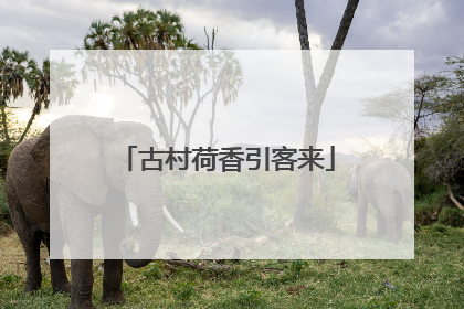 古村荷香引客来