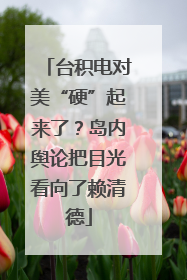 台积电对美“硬”起来了？岛内舆论把目光看向了赖清德