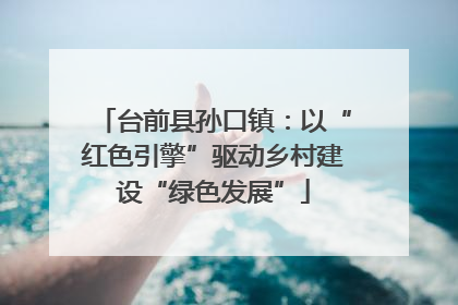 台前县孙口镇：以“红色引擎”驱动乡村建设“绿色发展”