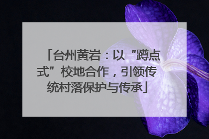 台州黄岩：以“蹲点式”校地合作，引领传统村落保护与传承