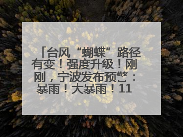 台风“蝴蝶”路径有变！强度升级！刚刚，宁波发布预警：暴雨！大暴雨！11级大风！