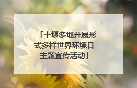 十堰多地开展形式多样世界环境日主题宣传活动