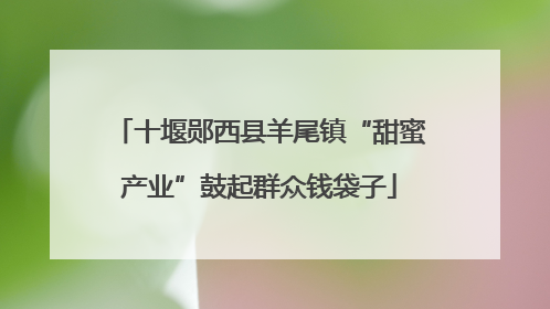 十堰郧西县羊尾镇“甜蜜产业”鼓起群众钱袋子