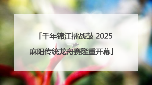千年锦江擂战鼓 2025麻阳传统龙舟赛隆重开幕