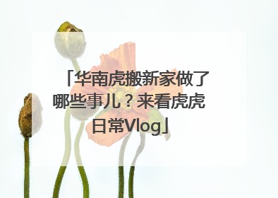 华南虎搬新家做了哪些事儿？来看虎虎日常Vlog