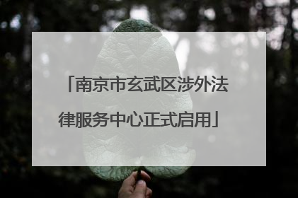 南京市玄武区涉外法律服务中心正式启用