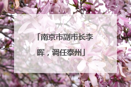 南京市副市长李晖，调任泰州