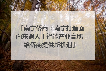 南宁侨商：南宁打造面向东盟人工智能产业高地给侨商提供新机遇