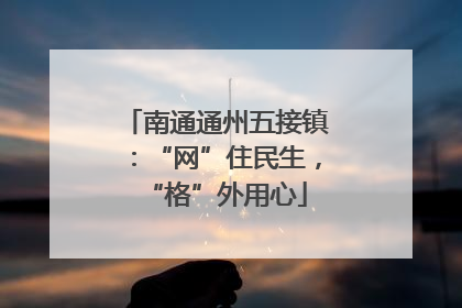 南通通州五接镇：“网”住民生，“格”外用心