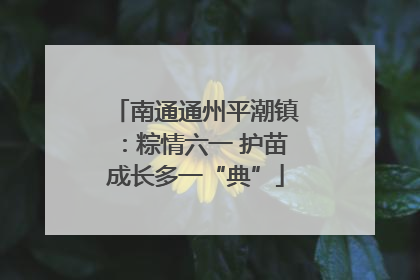 南通通州平潮镇：粽情六一 护苗成长多一“典”