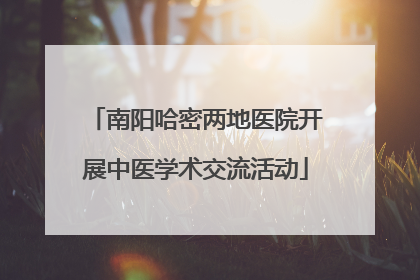 南阳哈密两地医院开展中医学术交流活动