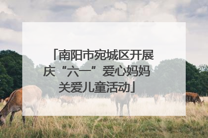南阳市宛城区开展庆“六一”爱心妈妈关爱儿童活动