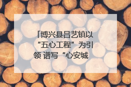 博兴县吕艺镇以“五心工程”为引领 谱写“心安城市”建设新篇章