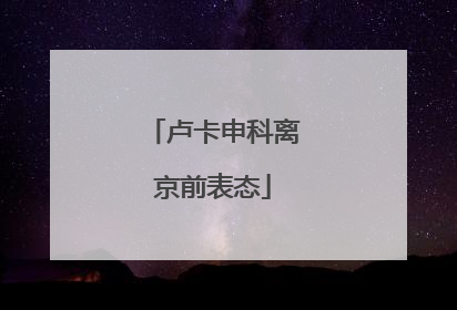 卢卡申科离京前表态