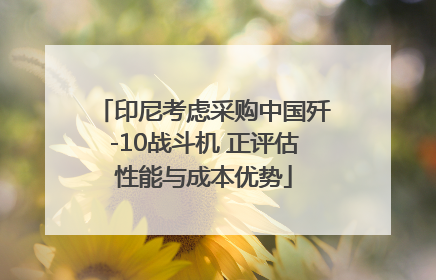 印尼考虑采购中国歼-10战斗机 正评估性能与成本优势