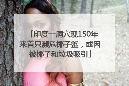 印度一洞穴现150年来首只濒危椰子蟹，或因被椰子和垃圾吸引