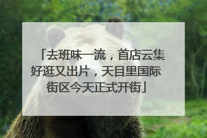 去班味一流，首店云集好逛又出片，天目里国际街区今天正式开街