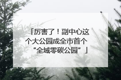 厉害了！副中心这个大公园成全市首个“全域零碳公园”