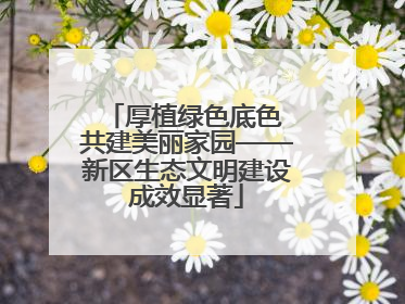 厚植绿色底色 共建美丽家园——新区生态文明建设成效显著