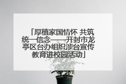 厚植家国情怀 共筑统一信念——开封市龙亭区台办组织涉台宣传教育进校园活动