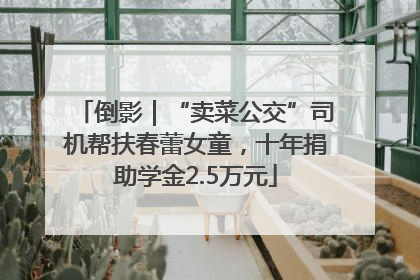 倒影｜“卖菜公交”司机帮扶春蕾女童，十年捐助学金2.5万元